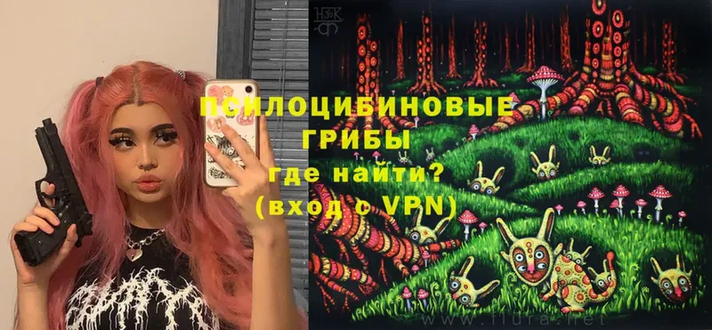 Псилоцибиновые грибы Psilocybine cubensis  Великие Луки 